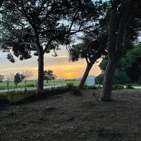 Vacacional Kır Evi Puerto Real