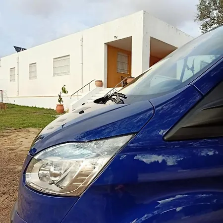 Vacacional بويرتو ريال